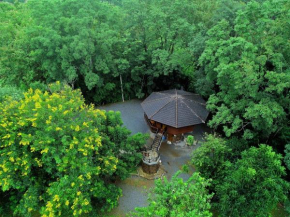 Hidden Treehouse in Khao Yai (8 PAX)